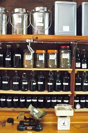 a small section of our herbal medicine & tincture dispensary