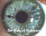 Ring of Purpose