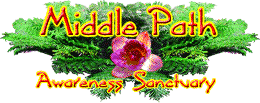Middle Path Online - Health & Awareness logo