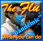 Swine Flu - Influenza AH1N1 “ Pandemic” - natural, panic-free advice on what you can do to protect yourself from it and treat anyone who is showing the symptoms.