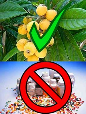 Naturl foods and medicines versus synthetics