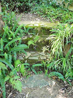 earthen steps in 2009