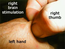 stimulating the right brain by pinching the left hand