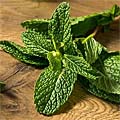 Peppermint is a decongestant which offers Respiratory Benefits , Enhances focus and alertness, Helps alleviate stress, anxietyand fatigue
