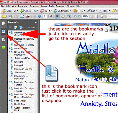 bookmarks in Adobe Reader