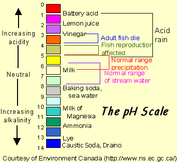 The pH scale of alkalinity/acidity