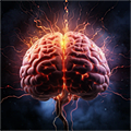 There are few areas of your life which are not influenced by your brains functioning. It is the most significant factor determining your quality of life.